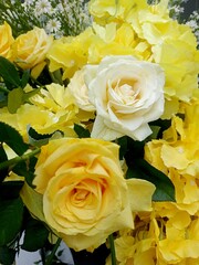 bunch of yellow roses
