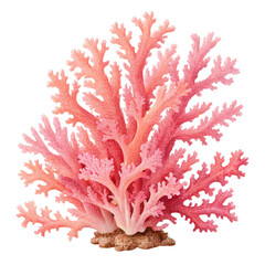 Naklejka premium tree with pink flowers isolated on transparent background