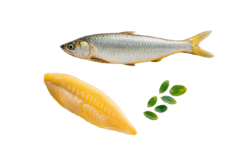 Flat-lay studio photo of tarpon fish on transparent background