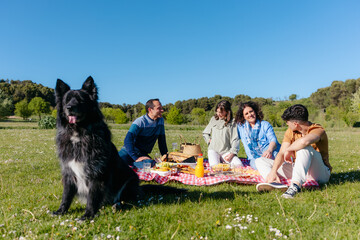 Family with teenagers and a big black dog having fun, eating and chatting during a picnic on a sunny day in spring