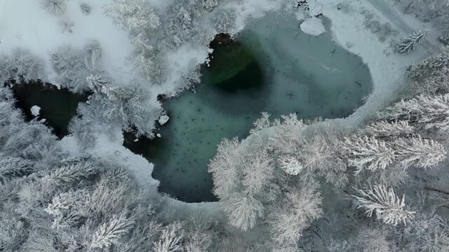 Lake Rosensee in winter surrounded by snow-covered coniferous forest and Alps near Grainau, Garmisch-Partenkirchen, Germany aerial view. Rosensee umgeben bei Grainau, Deutschland Luftaufnahme. 