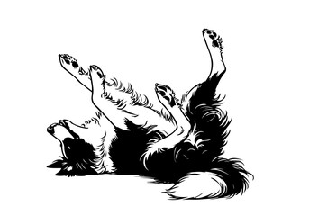 Border Collie dog hand drawn sketch  vector illustration