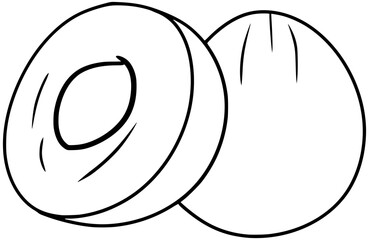 Chikoo Fruit Vector Outline Line Art Drawing