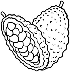 Chempedak Fruit Vector Outline Line Art Drawing