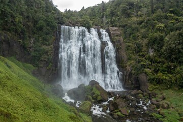 Water cascades down the Marokopa Falls, surrounded by lush green forest in New Zealand. The falls are a popular tourist destination because of their beauty.