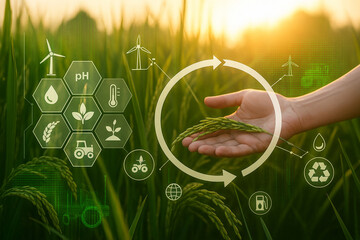 AI generated image of a hand gently touching rice in a lush green field at sunrise with futuristic HUD icons showing data analysis precision farming renewable energy and sustainable agriculture