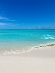 ニューカレドニアのウベア島の海の砂浜と波（縦画像）
