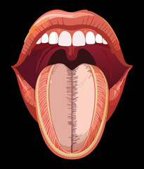 Human Mouth Tongue Visible Anatomy