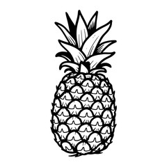 Obraz premium Hand-drawn black and white pineapple fruit illustration.