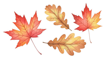Autumn Leaves PNGs For Creative Design and Crafting Projects Download Now