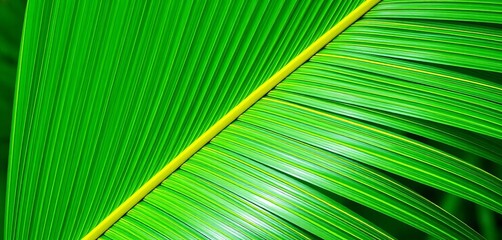 Intricate veined palm leaf, vibrant green, close-up detail, forest, tropical