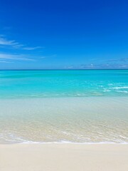 ニューカレドニアのウベア島の美しい海と砂浜と波（縦画像）