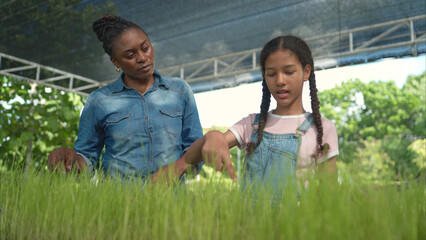 Smiling mom and daughter holding a tray of young rice plants