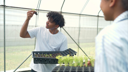 Two young people in a greenhouse discussing seedling growth while holding trays of sprouts