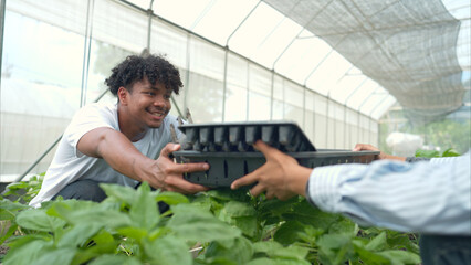 Two young people in a greenhouse discussing seedling growth while holding trays of sprouts