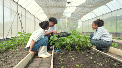 Group of young people examining lettuce plants in a greenhouse