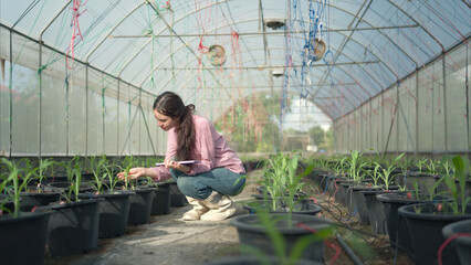 Portrait of young people examining plants in a greenhouse, learning about sustainable