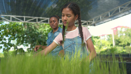 Smiling mom and daughter holding a tray of young rice plants