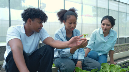 Group of young people examining lettuce plants in a greenhouse
