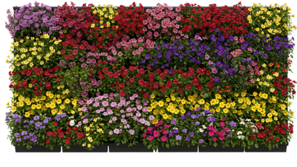 Colorful flower wall planters for garden design