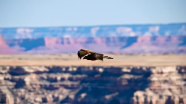 Bird in Flight Over a Blurred Canyon Landscape