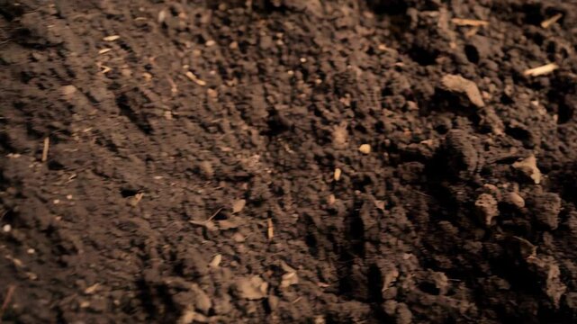 Close up showing rich, dark soil with scattered organic matter, pebbles and perlite for gardening or agricultural use.