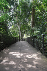green park and beautiful forest 