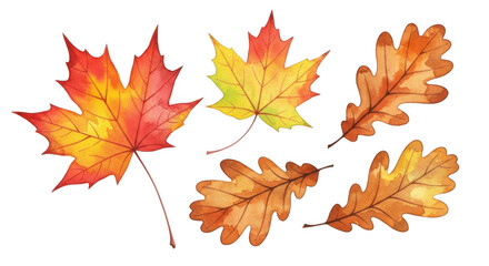 Fototapeta premium Autumn Watercolor Leaves PNG Collection Perfect for Fall Designs and Crafts