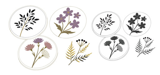 Elegant botanical illustrations of various stylized wildflowers and foliage elements set in decorative circular frames