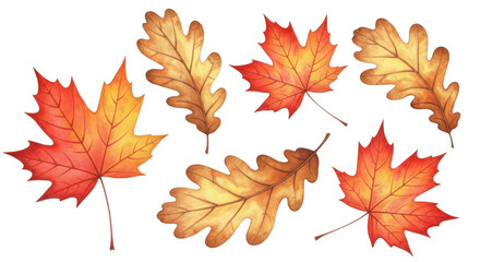 Fototapeta premium Fall Leaves PNG Watercolor Graphics Collection Perfect for Autumn Designs
