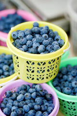 blueberries in a basket