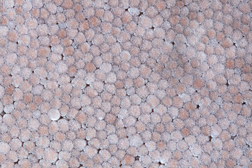 Close-Up of Hexagonal Honeycomb Texture on Natural Background
