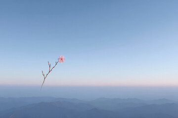 serene ridge line in afghanistan during soft twilight seasonal transition