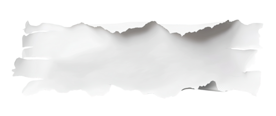 Ripped Paper Strip (1)