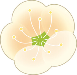 梅の花のシンボルアイコン