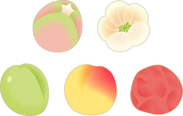 梅のつぼみ、梅の花、青梅、完熟梅、梅干しのシンボルアイコンセット