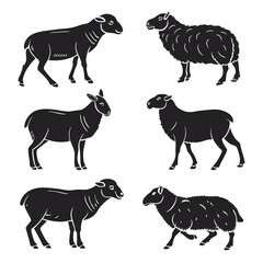 Fototapeta premium Silhouette illustrations of diverse sheep breeds on a white background vector artwork