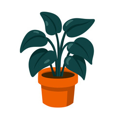Indoor Potted Plant