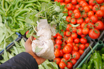Fresh greens and ripe tomatoes at local market