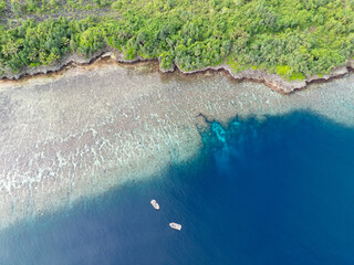 Healthy coral reefs surround the islands within Wakatobi National Park, off the coast of Sulawesi. This area is a popular destination for divers and snorkelers due to its high marine biodiversity.