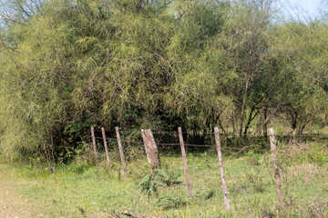 Alambrado en el campo 