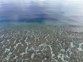 Healthy coral reefs surround the islands within Wakatobi National Park, off the coast of Sulawesi. This area is a popular destination for divers and snorkelers due to its high marine biodiversity.