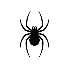 Simple Black Spider Silhouette on White Background for Halloween