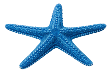 Vibrant Blue Starfish A Stunning Close-Up of an Ocean Star
