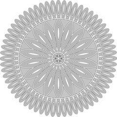 Magnificent Mandala Abstract Design Line Art Vector