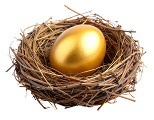 Cartoon Golden Egg in Cozy Nest  Transparent Background Game Element