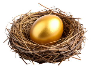 Cartoon Golden Egg in Cozy Nest  Transparent Background Game Element