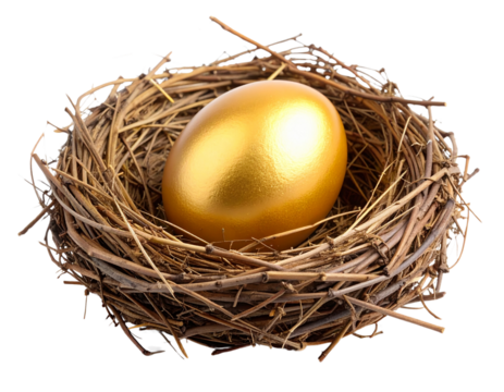Cartoon Golden Egg in Cozy Nest  Transparent Background Game Element
