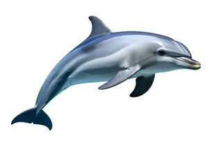 Graceful Full-Body Dolphin  Realistic Transparent PNG