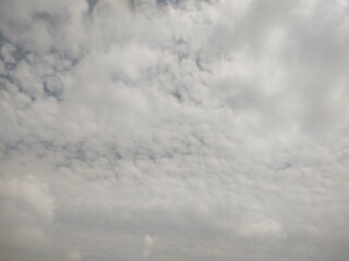 Fototapeta premium 東京のそら(25.6.12)